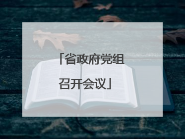 省政府党组召开会议