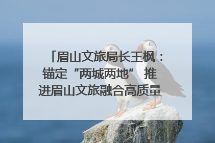 眉山文旅局长王枫：锚定“两城两地” 推进眉山文旅融合高质量发展｜文旅局长说