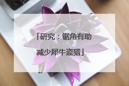 研究：锯角有助减少犀牛盗猎