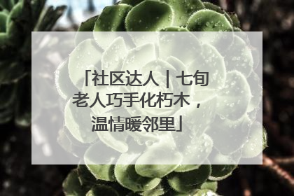 社区达人｜七旬老人巧手化朽木，温情暖邻里