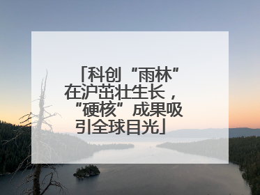 科创“雨林”在沪茁壮生长，“硬核”成果吸引全球目光