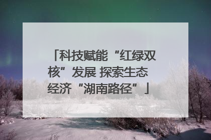 科技赋能“红绿双核”发展 探索生态经济“湖南路径”