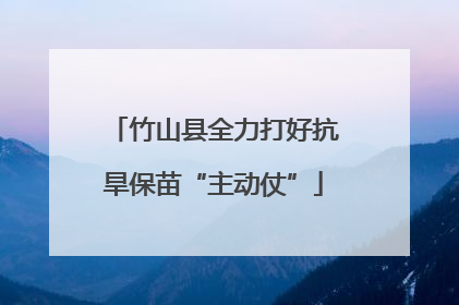 竹山县全力打好抗旱保苗“主动仗”