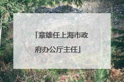 章雄任上海市政府办公厅主任