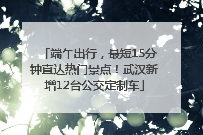 端午出行，最短15分钟直达热门景点！武汉新增12台公交定制车
