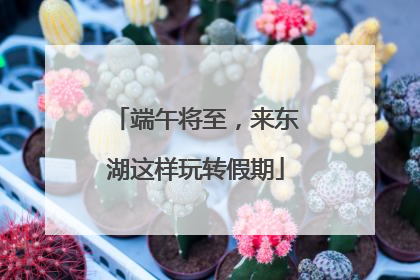 端午将至，来东湖这样玩转假期