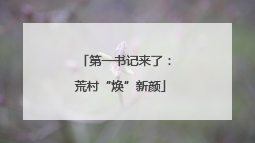 第一书记来了：荒村“焕”新颜