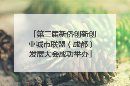 第三届新侨创新创业城市联盟（成都）发展大会成功举办