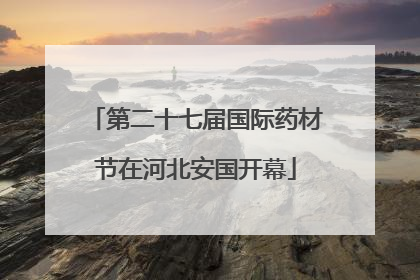 第二十七届国际药材节在河北安国开幕