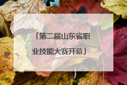 第二届山东省职业技能大赛开幕