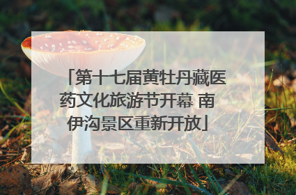 第十七届黄牡丹藏医药文化旅游节开幕 南伊沟景区重新开放