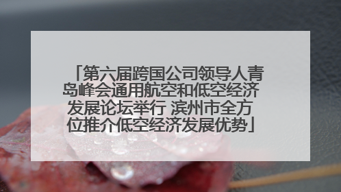 第六届跨国公司领导人青岛峰会通用航空和低空经济发展论坛举行 滨州市全方位推介低空经济发展优势