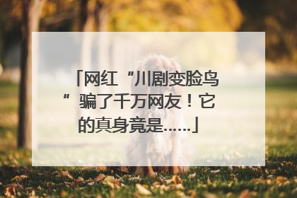 网红“川剧变脸鸟”骗了千万网友！它的真身竟是……
