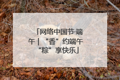 网络中国节·端午｜“香”约端午 “粽”享快乐