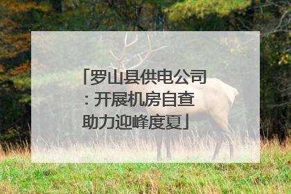 罗山县供电公司:开展机房自查 助力迎峰度夏