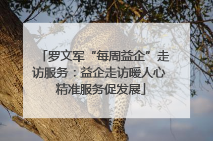 罗文军“每周益企”走访服务：益企走访暖人心 精准服务促发展