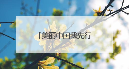 美丽中国我先行！平顶山高新区开展“6·5”世界环境日主题宣传