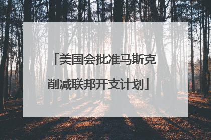 美国会批准马斯克削减联邦开支计划