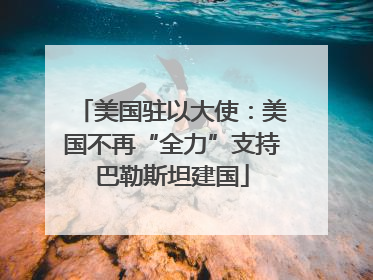 美国驻以大使：美国不再“全力”支持巴勒斯坦建国