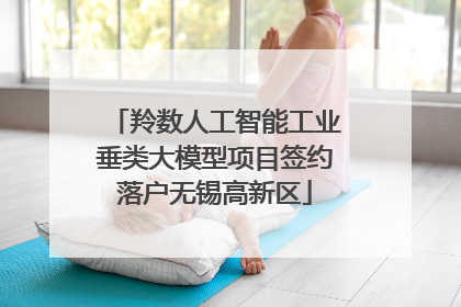 羚数人工智能工业垂类大模型项目签约落户无锡高新区