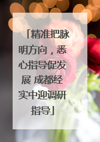 精准把脉明方向，悉心指导促发展 成都经实中迎调研指导