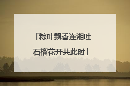 粽叶飘香连湘吐 石榴花开共此时