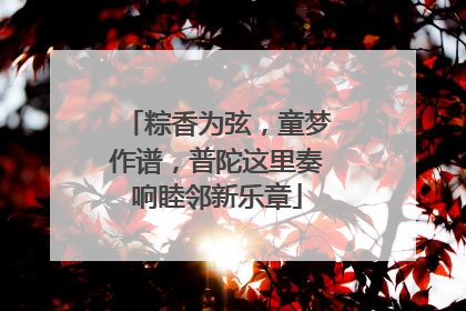 粽香为弦，童梦作谱，普陀这里奏响睦邻新乐章