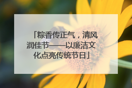 粽香传正气，清风润佳节——以廉洁文化点亮传统节日