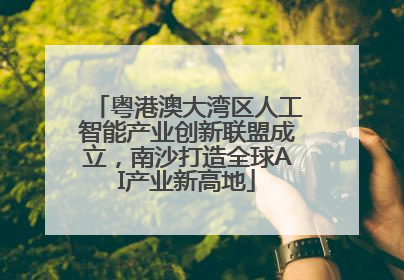 粤港澳大湾区人工智能产业创新联盟成立，南沙打造全球AI产业新高地