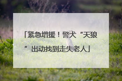 紧急增援！警犬“天狼”出动找到走失老人