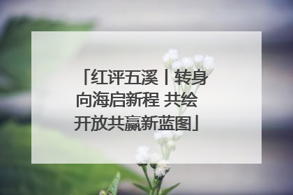红评五溪丨转身向海启新程 共绘开放共赢新蓝图