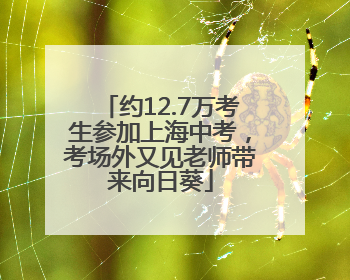 约12.7万考生参加上海中考，考场外又见老师带来向日葵