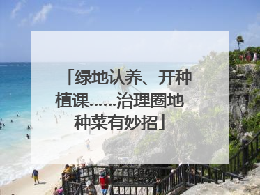 绿地认养、开种植课……治理圈地种菜有妙招