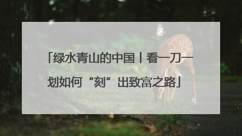 绿水青山的中国丨看一刀一划如何“刻”出致富之路