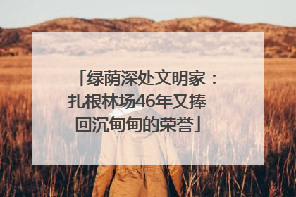绿荫深处文明家：扎根林场46年又捧回沉甸甸的荣誉