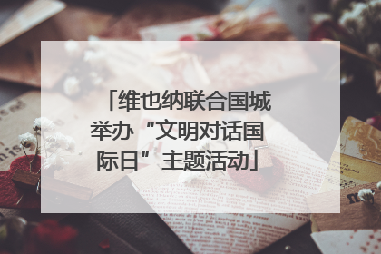 维也纳联合国城举办“文明对话国际日”主题活动