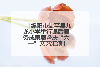 绵阳市盐亭县九龙小学举行课后服务成果展暨庆“六一”文艺汇演