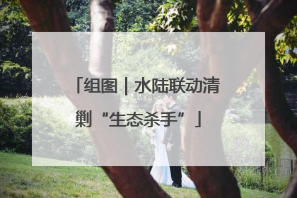 组图｜水陆联动清剿“生态杀手”