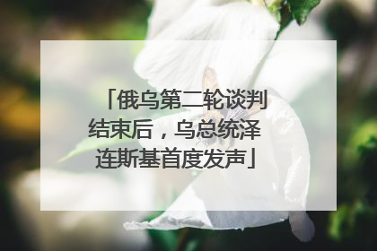 俄乌第二轮谈判结束后，乌总统泽连斯基首度发声