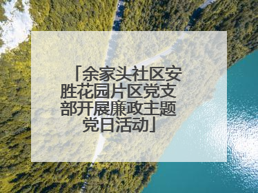 余家头社区安胜花园片区党支部开展廉政主题党日活动