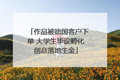 作品被德国客户下单 大学生毕设孵化创意落地生金