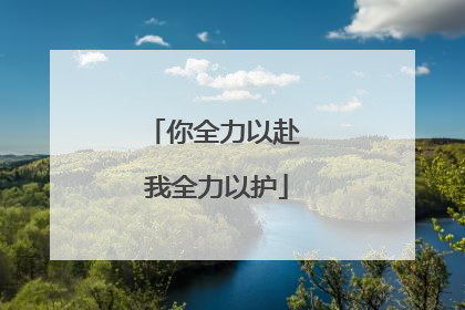 你全力以赴 我全力以护
