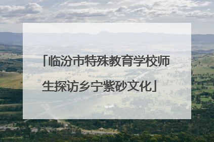 临汾市特殊教育学校师生探访乡宁紫砂文化