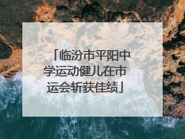 临汾市平阳中学运动健儿在市运会斩获佳绩