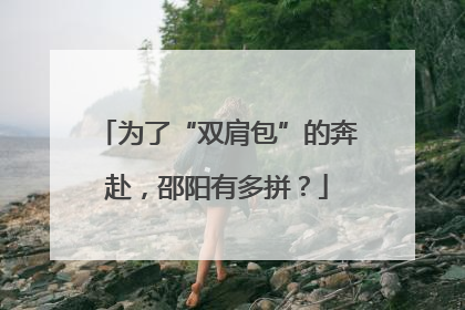 为了“双肩包”的奔赴，邵阳有多拼？