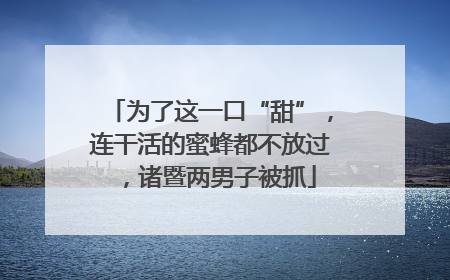 为了这一口“甜”，连干活的蜜蜂都不放过，诸暨两男子被抓