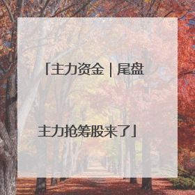 主力资金｜尾盘主力抢筹股来了