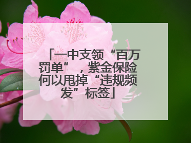 一中支领“百万罚单”，紫金保险何以甩掉“违规频发”标签