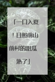 一口入夏！日照前山前村的甜瓜熟了