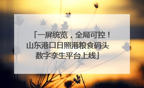一屏统览，全局可控！山东港口日照港粮食码头数字孪生平台上线